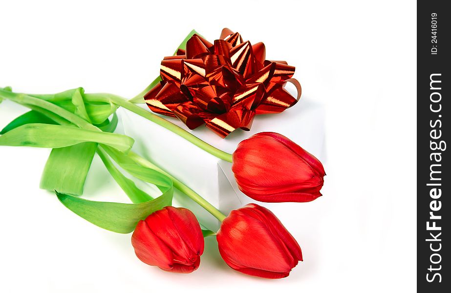 Tulips And Gift Box