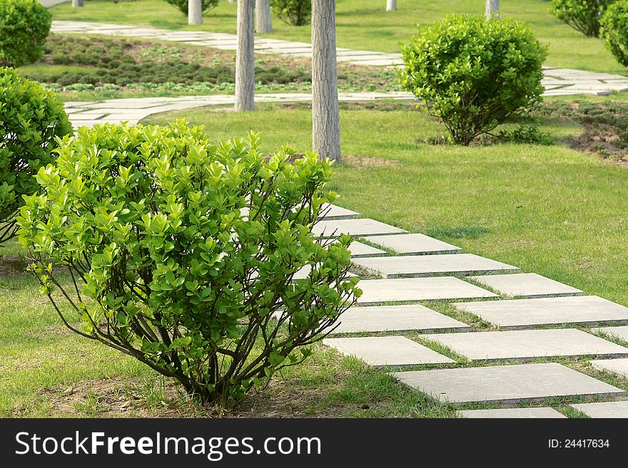 The foot path in spring park