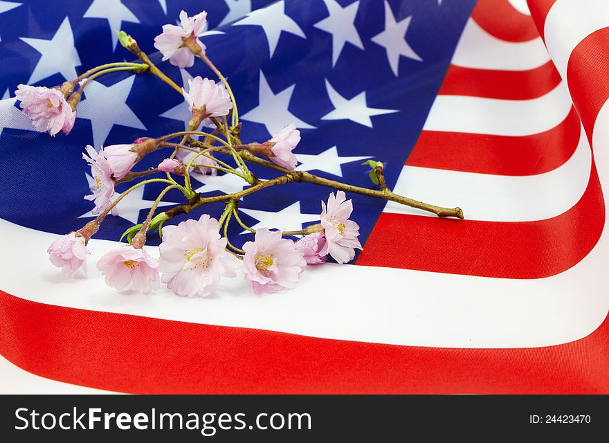 Cherry blossom sprig, a symbol of beauty, spring, and renewal, placed on an American flag, a national symbol. Cherry blossom sprig, a symbol of beauty, spring, and renewal, placed on an American flag, a national symbol.