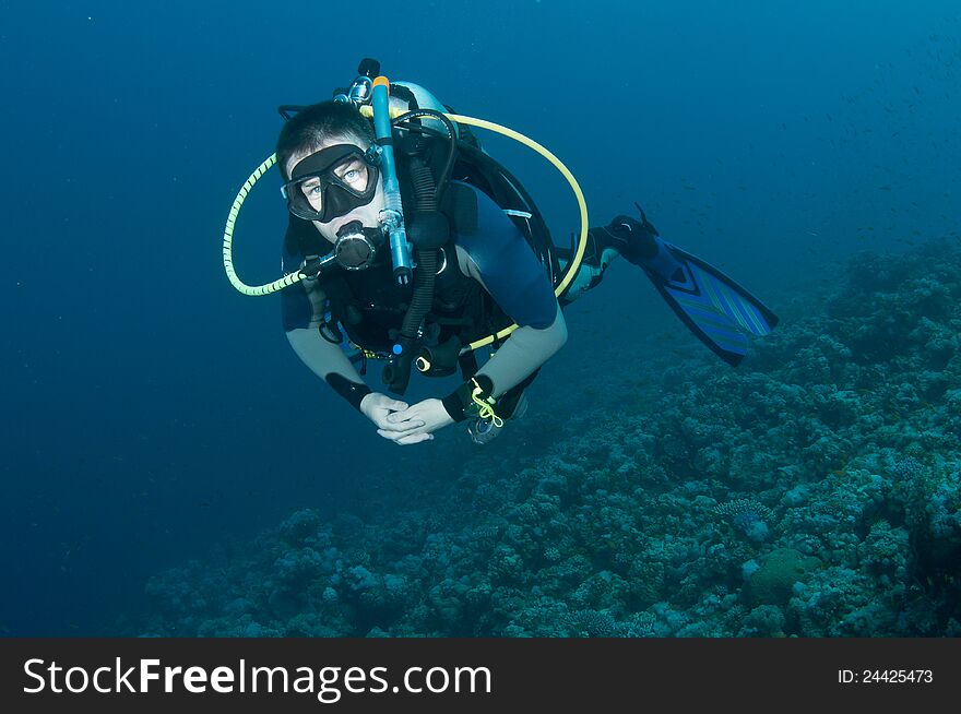 Man Scuba Diver On Coral Reef