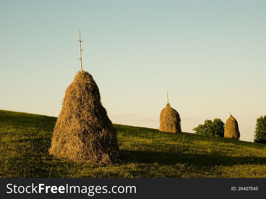 Some pile of hay during the autumn season. Some pile of hay during the autumn season