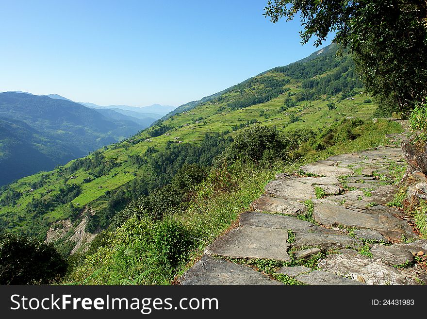 Beautiful himalayan forest landscape, trek to Annapurna Base Camp in Nepal