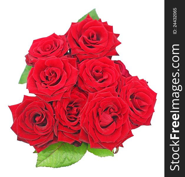 Bouquet of red roses isolated background. Bouquet of red roses isolated background