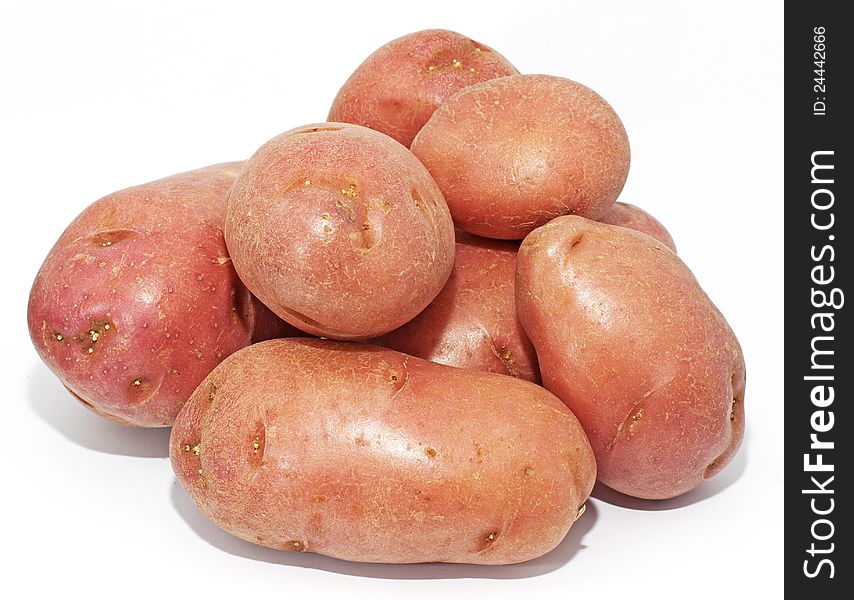 A small pile of red Desiree Potatoes that are excellent as fries and as roast potatoes. A small pile of red Desiree Potatoes that are excellent as fries and as roast potatoes.