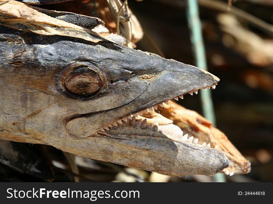 Dried fish for sale in a Madagascar market