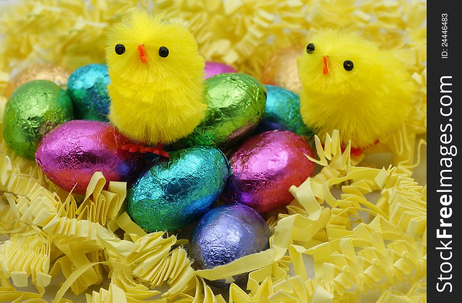 Easter Chicks