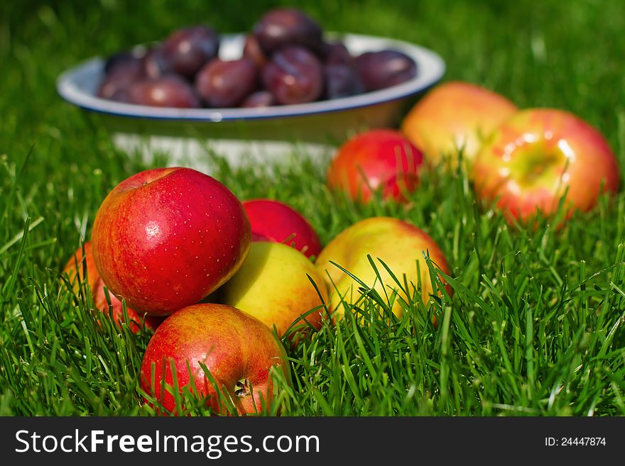 A bulk of apples lies on the lawn and behind is a bowl with plums. A bulk of apples lies on the lawn and behind is a bowl with plums