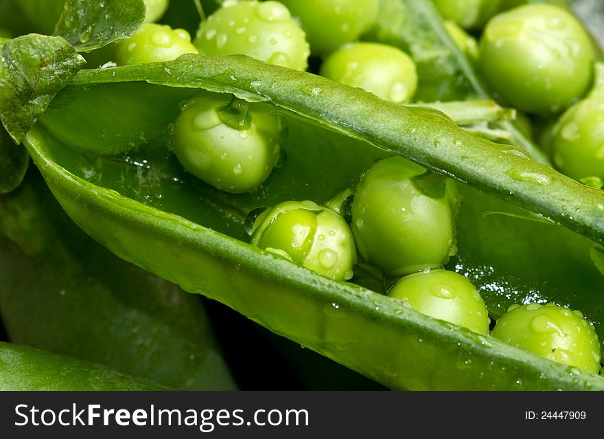 A macro shot of fresh peas