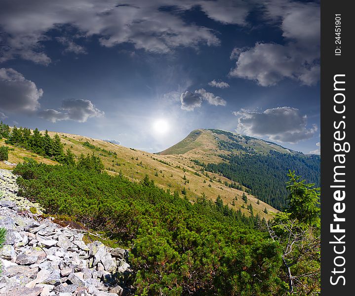 Summer landscape in the mountains