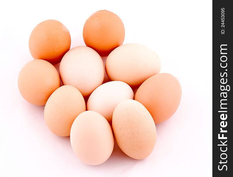 Domestic Eggs