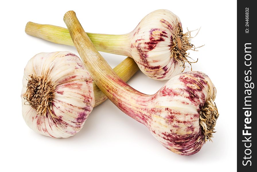 Three striped garlics against white background. Three striped garlics against white background