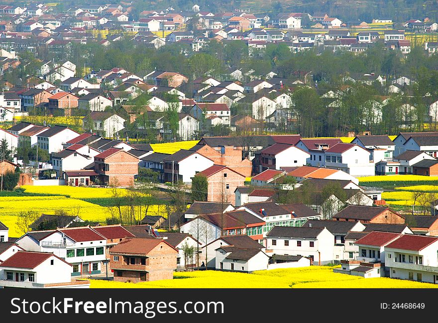 The new building village, a row of neat farm houses and flower field, in hanzhong, shanxi, China. The new building village, a row of neat farm houses and flower field, in hanzhong, shanxi, China.