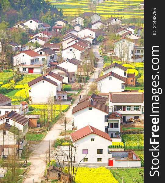 The new building village, on both sides of the road farmhouse and flower field, in hanzhong, shanxi, China. The new building village, on both sides of the road farmhouse and flower field, in hanzhong, shanxi, China.