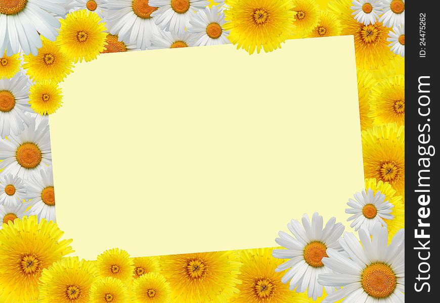 Blank sheet of paper for text on nice yellow background with dandelions and daisy flowers. Blank sheet of paper for text on nice yellow background with dandelions and daisy flowers