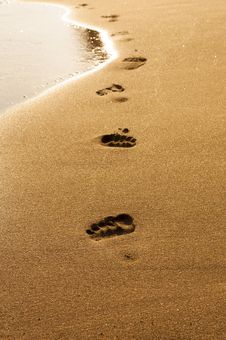 Footprints In Wet Sand Of Beach Stock Image Footprints In Wet Sand Of Beach Stock Image