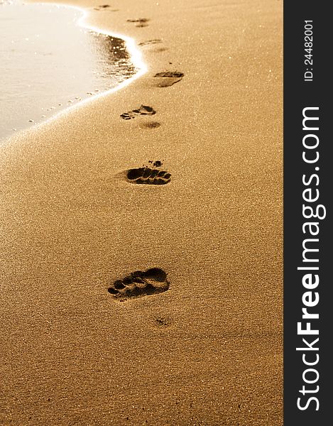 Footprints trail in wet sand of beach in sunny day. Footprints trail in wet sand of beach in sunny day