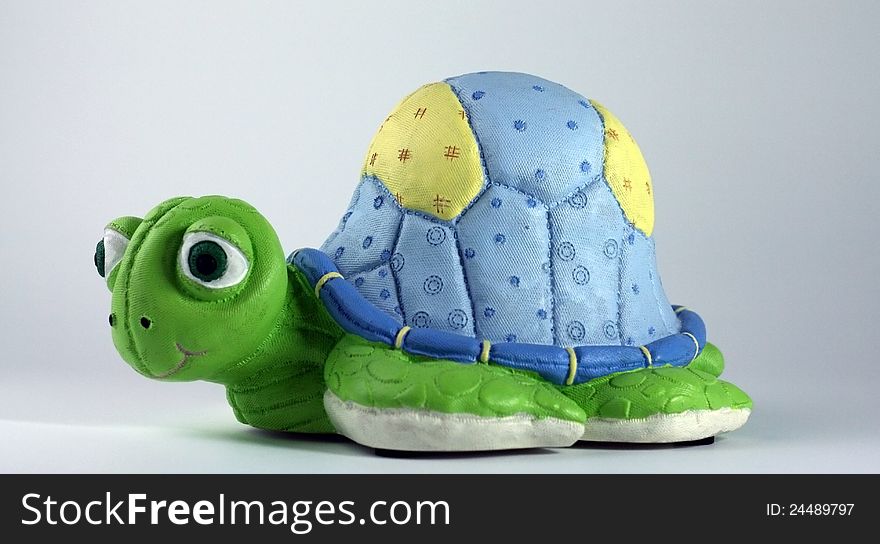 Isolated Baby Green and bkue Turtle. Isolated Baby Green and bkue Turtle