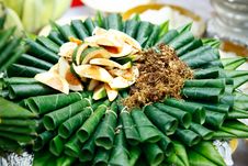 Areca Nut, Betel. Royalty Free Stock Photo Areca Nut, Betel. Royalty Free Stock Photo