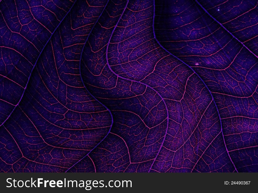 Colorful abstract lines flow background. Colorful abstract lines flow background
