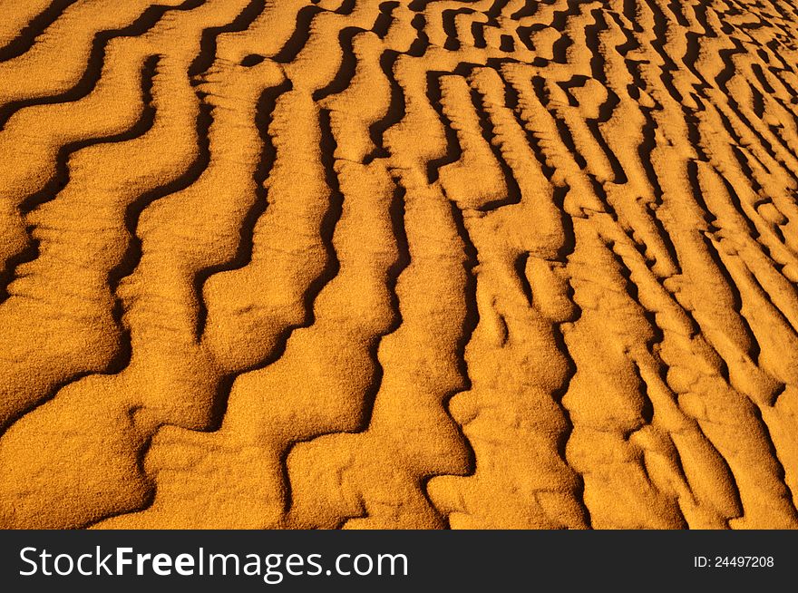 Sand wave of sahara dune