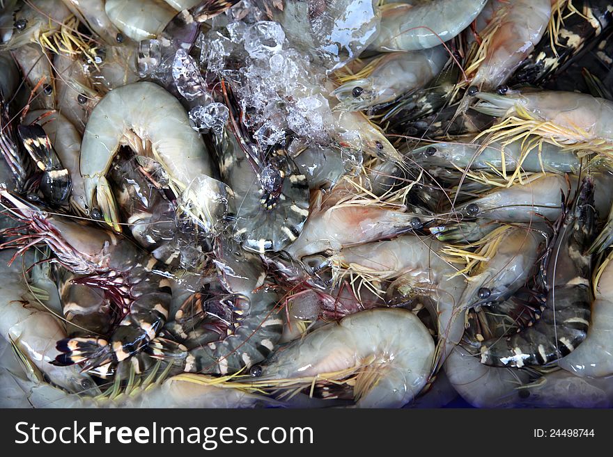 Raw shrimps close up using as Food background