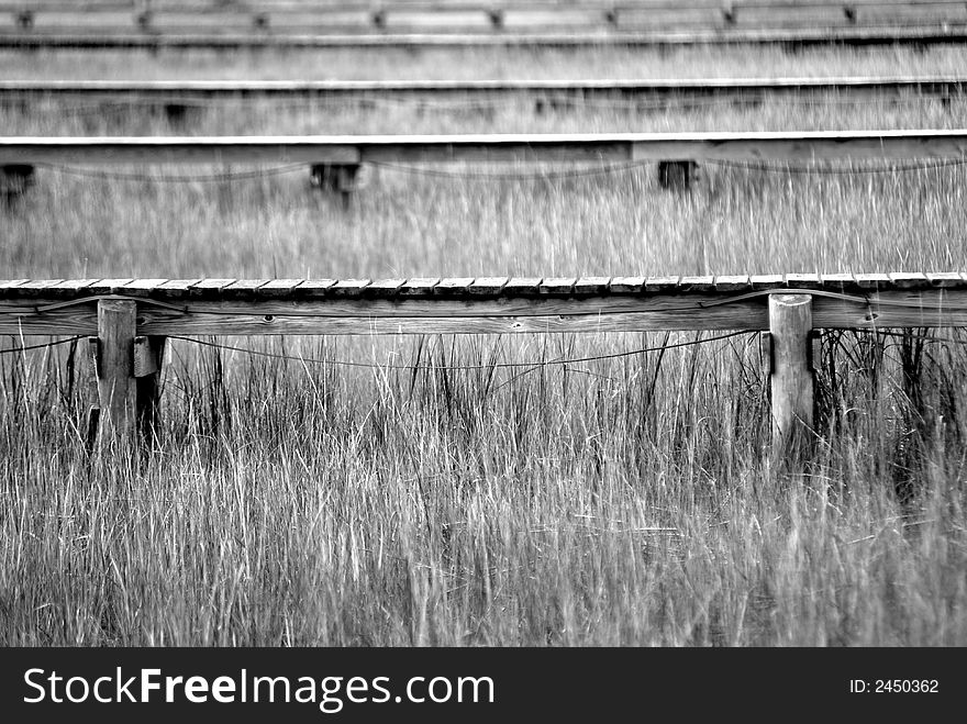 Docks In The Marsh