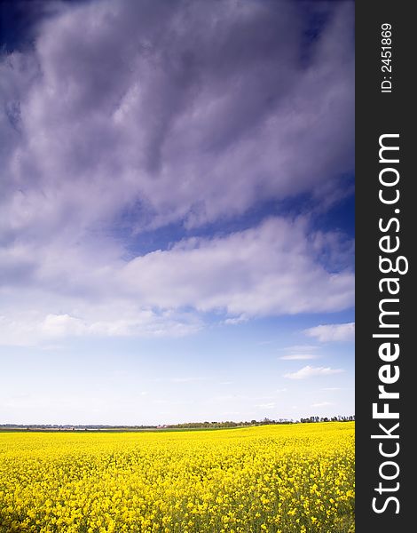 field with blue sky and dark clouds