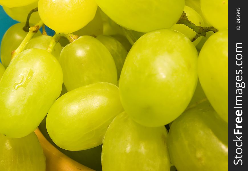 Bunch of Grapes isolated on blue. Bunch of Grapes isolated on blue