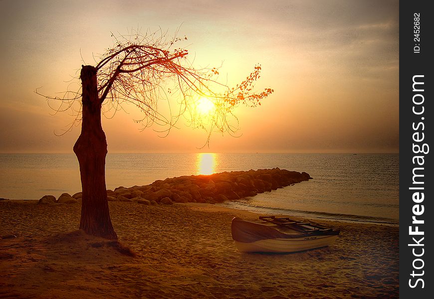 Lonely tree and boat on the beach. Lonely tree and boat on the beach