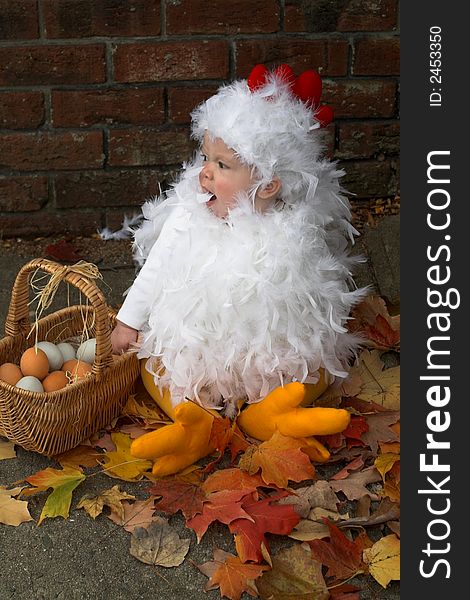 Image of a cute baby wearing a chicken costume, sitting next to a basket of eggs. Image of a cute baby wearing a chicken costume, sitting next to a basket of eggs