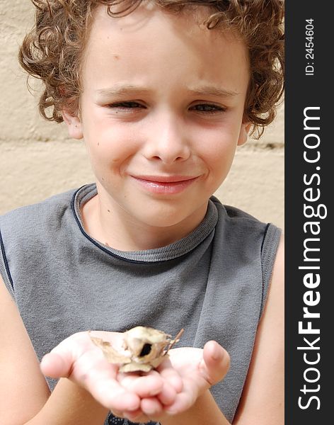 Boy holding a rare Poly Antheria moth coccoon where the moth just hatched from. Boy holding a rare Poly Antheria moth coccoon where the moth just hatched from