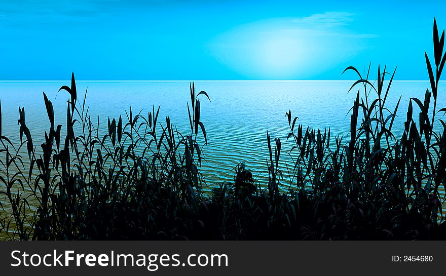 Water plants at sunset -  3D scene. Water plants at sunset -  3D scene.