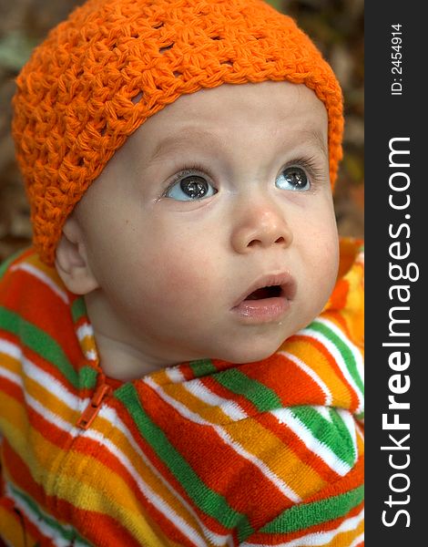 Image of a cute baby sitting in a pile of fallen leaves. Image of a cute baby sitting in a pile of fallen leaves