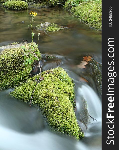 Moss Covered Falls