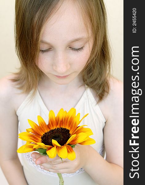 Soft portrait of girl with Sunflower in the hands. Soft portrait of girl with Sunflower in the hands