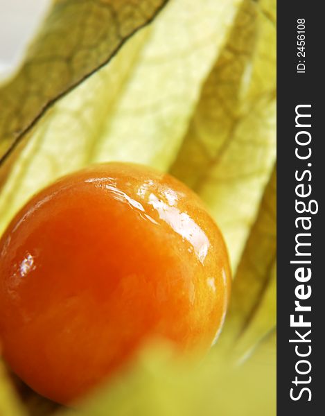 A macro shot of the Cape Gooseberry (Physalis).