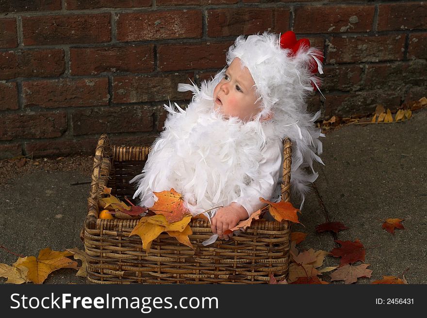 Image of a cute baby wearing a chicken costume, sitting in a basket. Image of a cute baby wearing a chicken costume, sitting in a basket