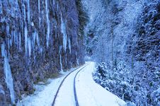 Narrow Gauge. Royalty Free Stock Photography Narrow Gauge. Royalty Free Stock Photography