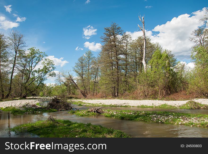 Vibrant nature with small river and green forest