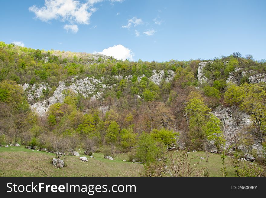 Lush Green Vegetation On Rocky Hillside