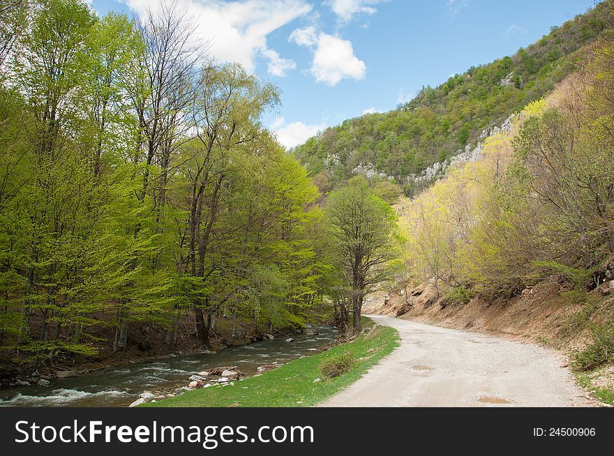 Road next to a river passing through green forests in Romanian national park. Road next to a river passing through green forests in Romanian national park