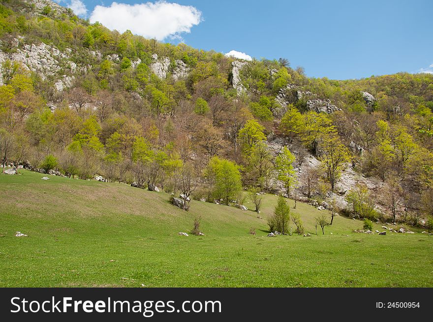 Scenic nature landscape with steep hillside and lush vegetation. Scenic nature landscape with steep hillside and lush vegetation