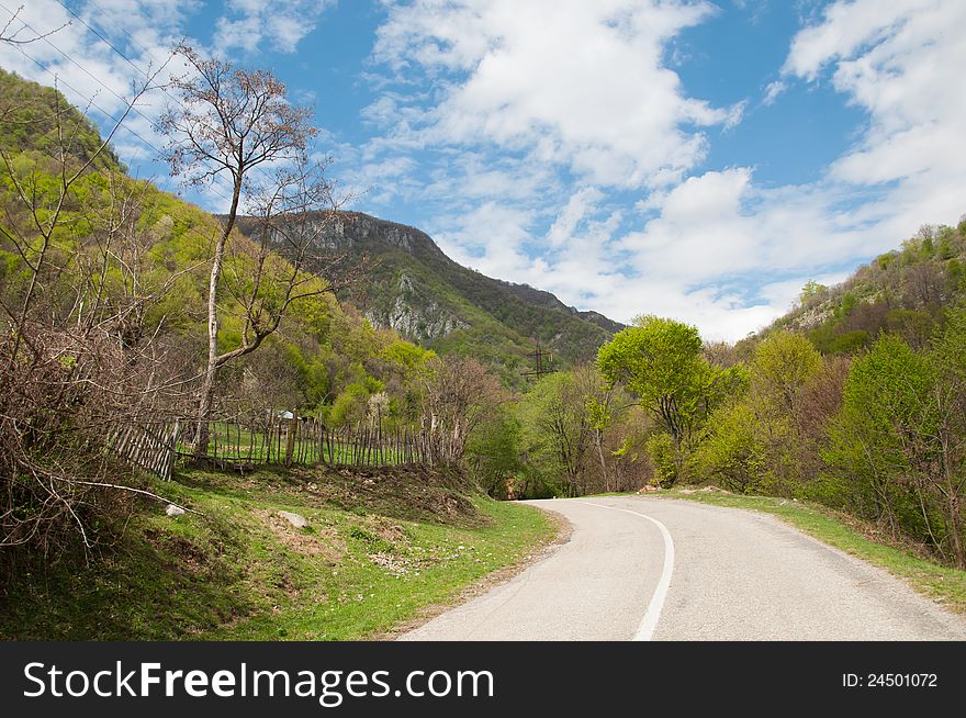 Road next to a river passing through green forests in Romanian national park. Road next to a river passing through green forests in Romanian national park