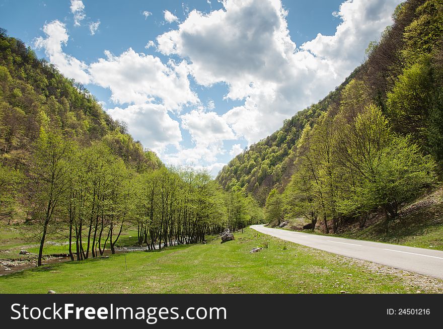 Road next to a river passing through green forests in Romanian national park. Road next to a river passing through green forests in Romanian national park