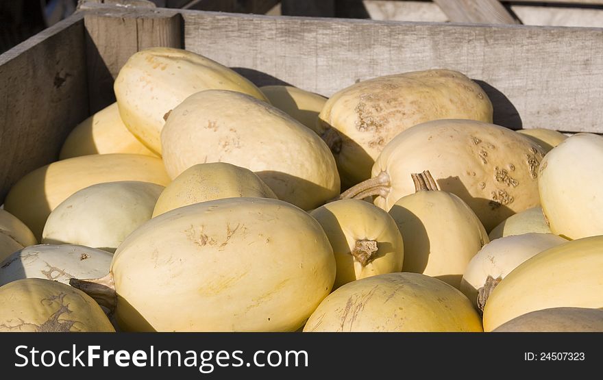 Pile of honeydew melons at a farmer's market