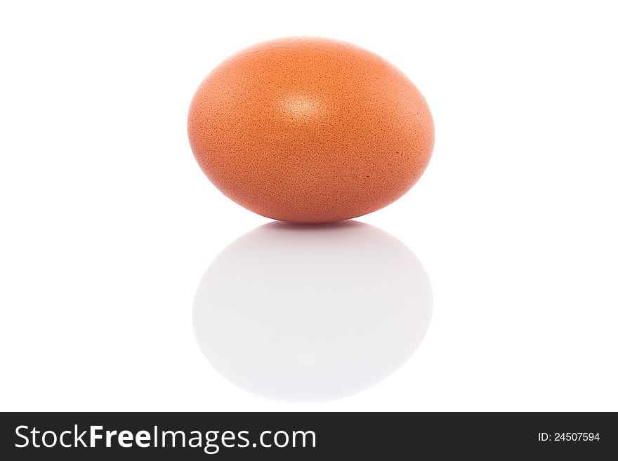 Egg  on a white background.