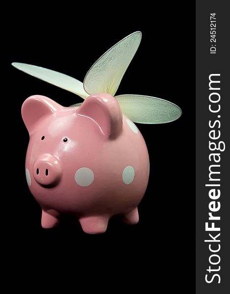PInk piggy bank with wings on black background. PInk piggy bank with wings on black background