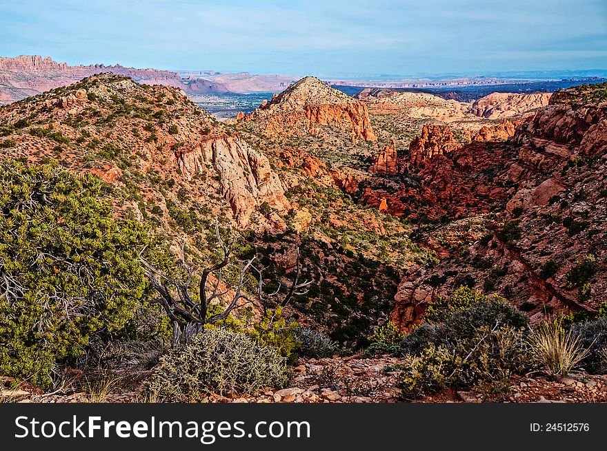 View Of Mill Creek, Moab Utah