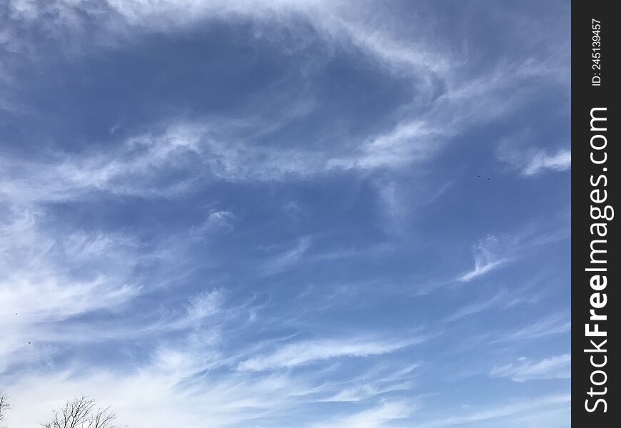 Spring, morning blue sky. Clear sky with thin clouds.