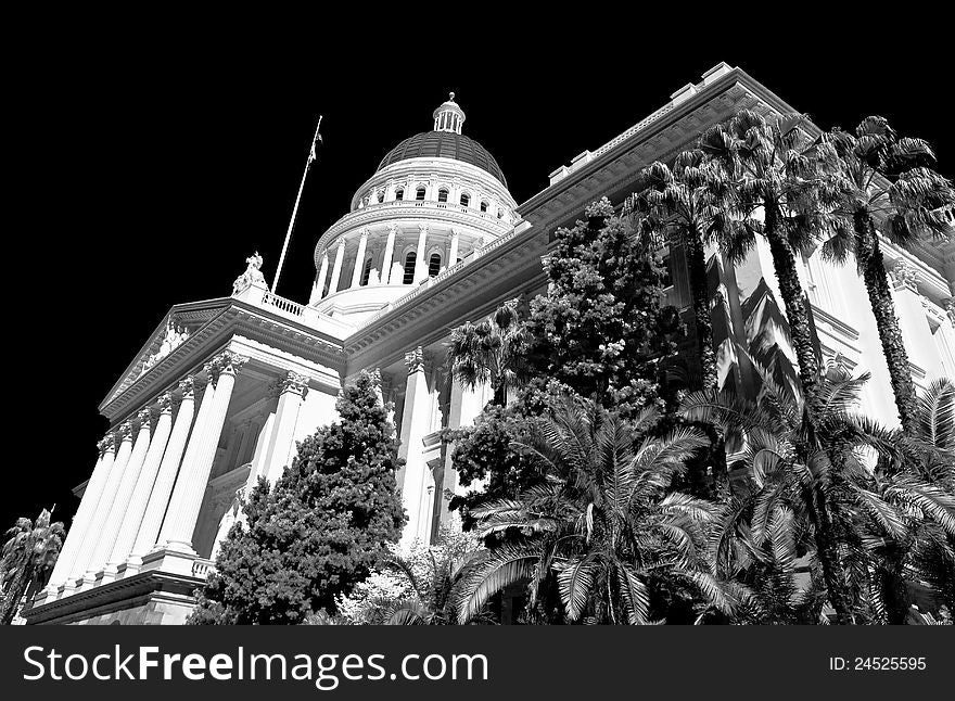 Palms Trees Over Capitol Building